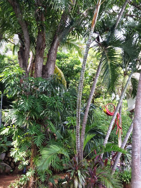 Villa Costa Chica Comodisimo Piscina Gigante Jardines Acapulco Extérieur photo